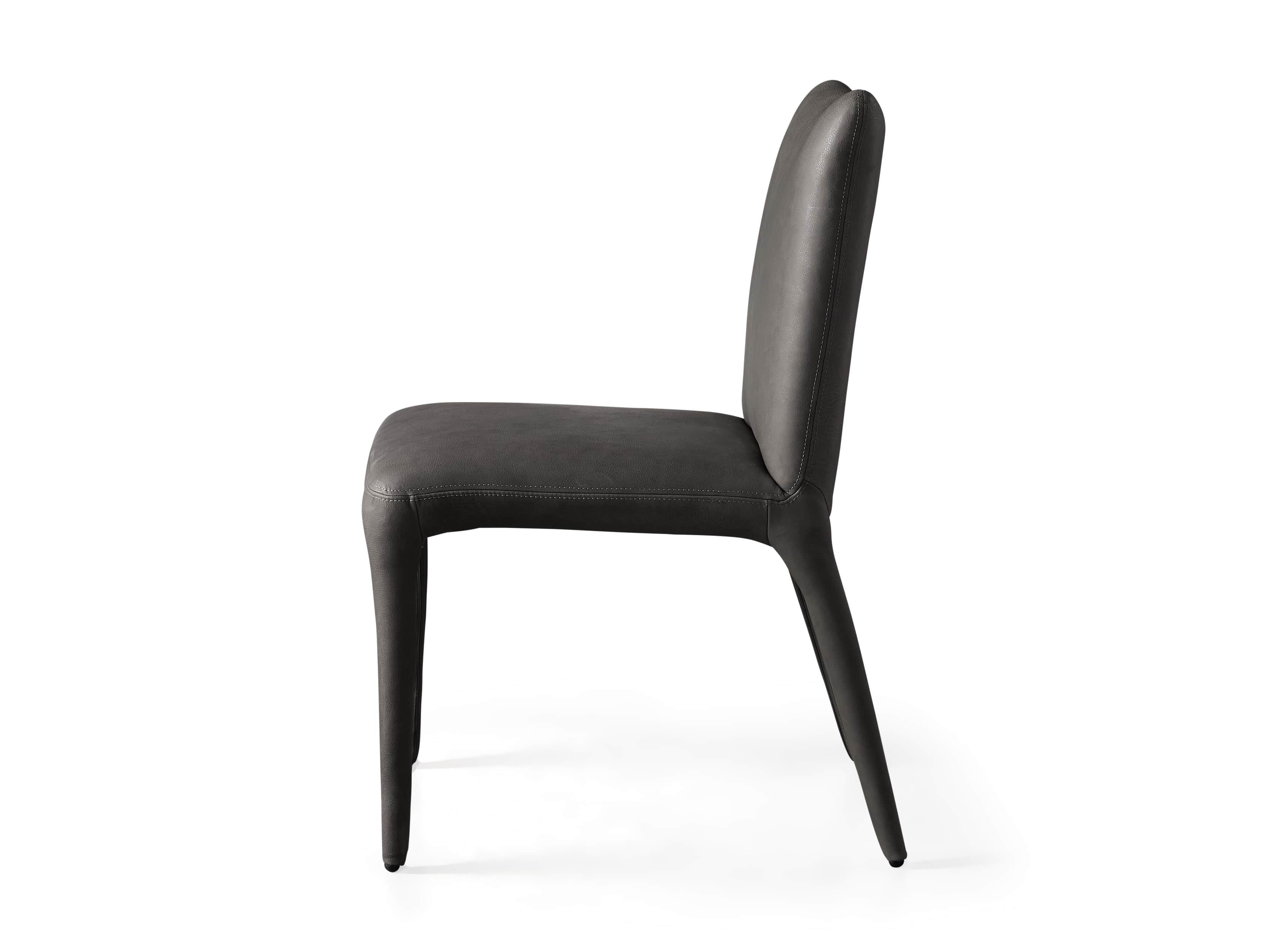 Pelle Dining Side Chair