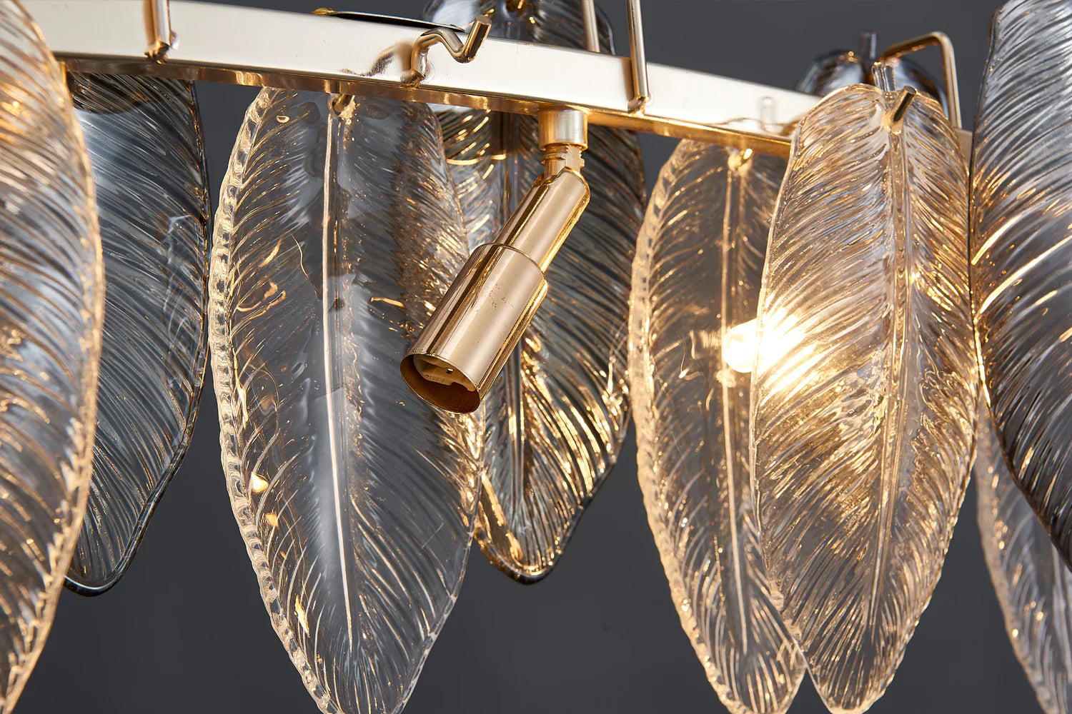 Llona Contemporary Plume Chandelier